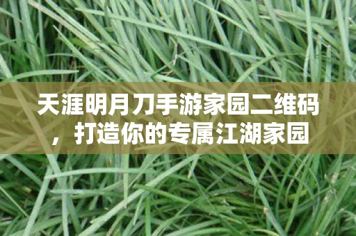 天涯明月刀手游家园二维码，打造你的专属江湖家园