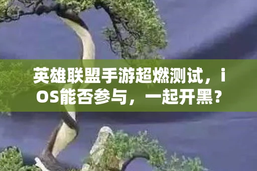 英雄联盟手游超燃测试，iOS能否参与，一起开黑？