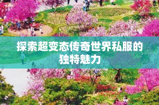 探索超变态传奇世界私服的独特魅力