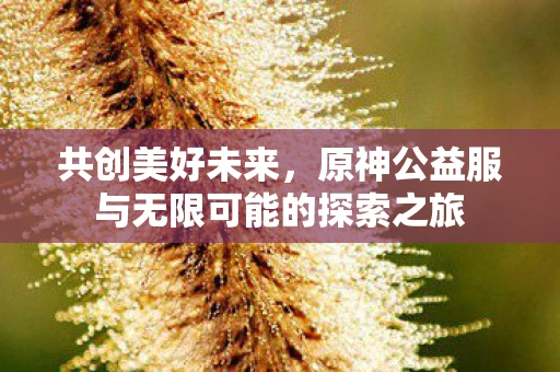 共创美好未来，原神公益服与无限可能的探索之旅