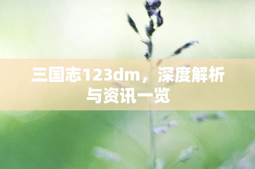 深度解析与资讯一览图片
