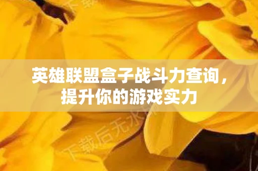 英雄联盟盒子战斗力查询，提升你的游戏实力