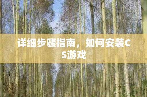 详细步骤指南，如何安装CS游戏
