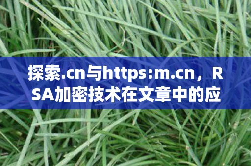 探索.cn与https:m.cn，RSA加密技术在文章中的应用