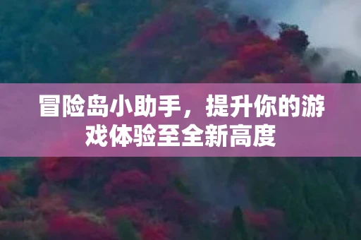 冒险岛小助手，提升你的游戏体验至全新高度