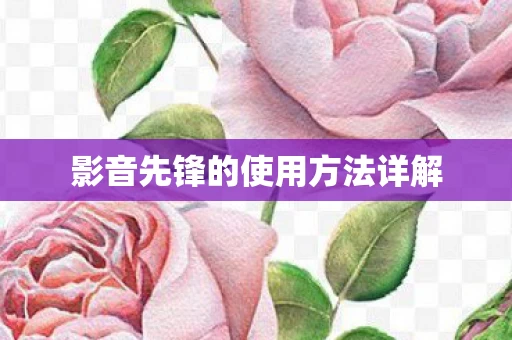 影音先锋的使用方法详解图片