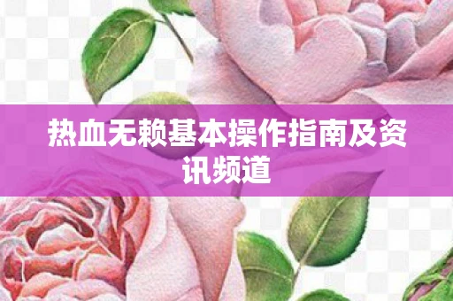 热血无赖基本操作指南及资讯频道