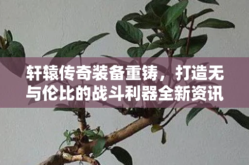 轩辕传奇装备重铸，打造无与伦比的战斗利器全新资讯