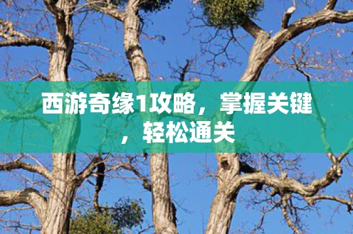 西游奇缘1攻略，掌握关键，轻松通关