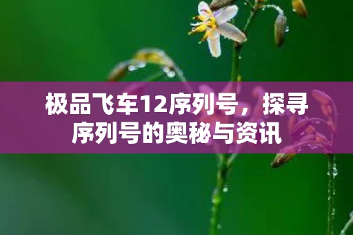 极品飞车12序列号，探寻序列号的奥秘与资讯