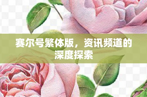 赛尔号繁体版，资讯频道的深度探索