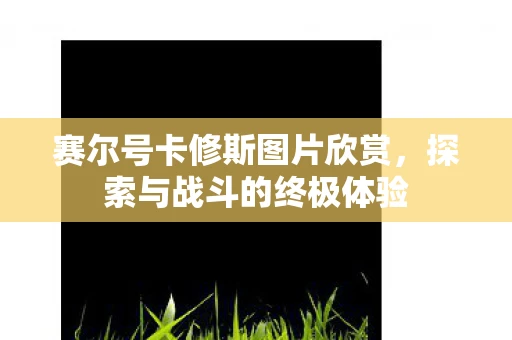 赛尔号卡修斯图片欣赏，探索与战斗的终极体验