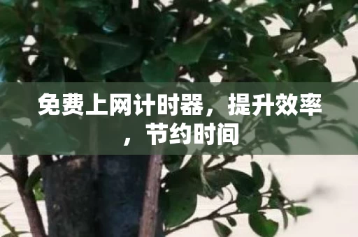 免费上网计时器图片