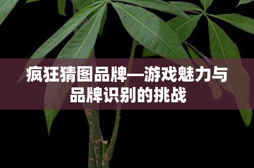 疯狂猜图品牌—游戏魅力与品牌识别的挑战