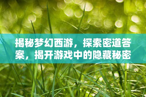 揭秘梦幻西游，探索密道答案，揭开游戏中的隐藏秘密