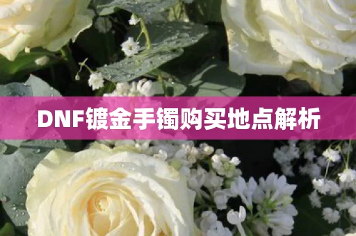 DNF镀金手镯购买地点解析图片