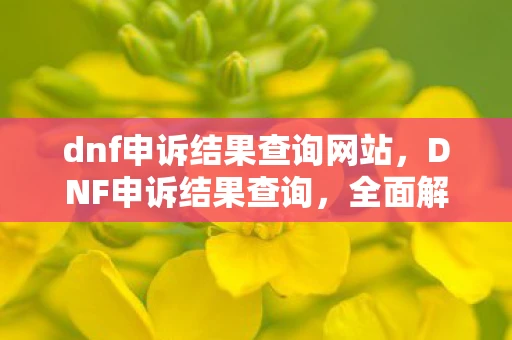 dnf申诉结果查询网站,DNF申诉结果查询,全面解析与游戏内容探讨 dnf申诉结果查询网站,DNF申诉结果查询,全面解析与游戏内容探讨
