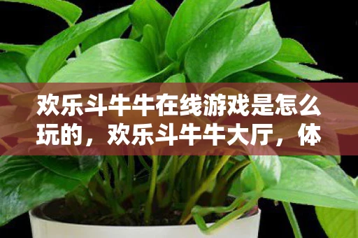 欢乐斗牛牛在线游戏是怎么玩的,欢乐斗牛牛大厅,体验全新的V7.6.6版本游戏魅力 欢乐斗牛牛在线游戏是怎么玩的,欢乐斗牛牛大厅,体验全新的V7.6.6版本游戏魅力