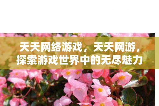天天网络游戏，天天网游，探索游戏世界中的无尽魅力
