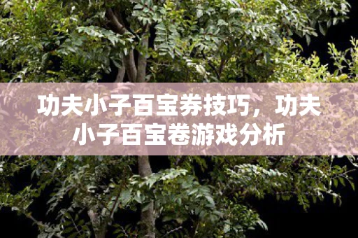 功夫小子百宝券技巧，功夫小子百宝卷游戏分析