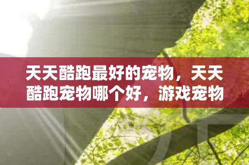 天天酷跑最好的宠物,天天酷跑宠物哪个好,游戏宠物选择与培养策略 天天酷跑最好的宠物,天天酷跑宠物哪个好,游戏宠物选择与培养策略