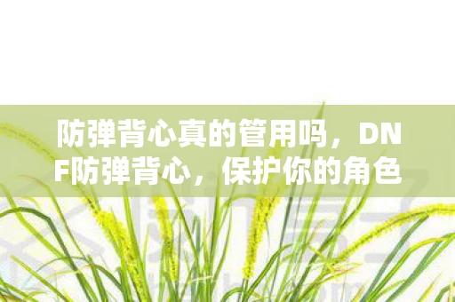 防弹背心真的管用吗，DNF防弹背心，保护你的角色，挑战更强大的敌人