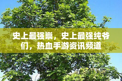 史上最强崇，史上最强纯爷们，热血手游资讯频道