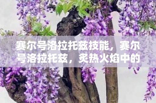 赛尔号洛拉托兹技能,赛尔号洛拉托兹,炙热火焰中的舞者 赛尔号洛拉托兹技能,赛尔号洛拉托兹,炙热火焰中的舞者