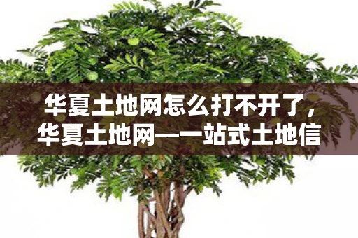 华夏土地网怎么打不开了，华夏土地网—一站式土地信息服务平台的新里程碑