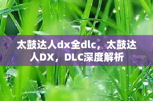 太鼓达人dx全dlc，太鼓达人DX，DLC深度解析