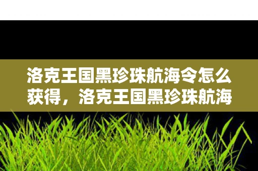 洛克王国黑珍珠航海令怎么获得，洛克王国黑珍珠航海令，深海探险与神秘宝藏