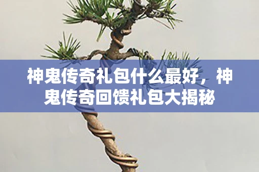 神鬼传奇礼包什么最好，神鬼传奇回馈礼包大揭秘