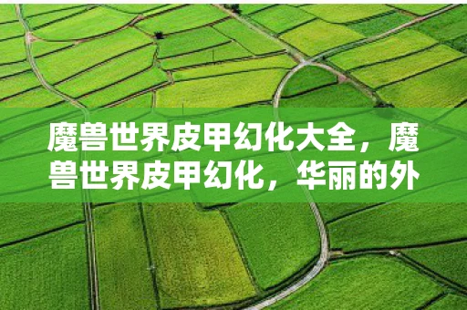 魔兽世界皮甲幻化大全，魔兽世界皮甲幻化，华丽的外观与深度的定制