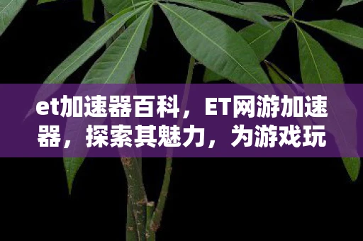 et加速器百科,ET网游加速器,探索其魅力,为游戏玩家量身定制 et加速器百科,ET网游加速器,探索其魅力,为游戏玩家量身定制