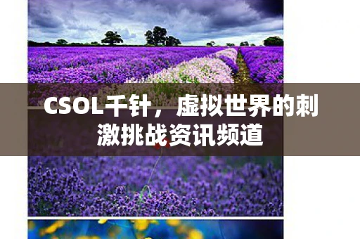 CSOL千针，虚拟世界的刺激挑战资讯频道