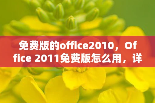 免费版的office2010，Office 2011免费版怎么用，详细指南