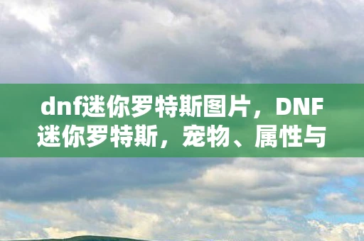 dnf迷你罗特斯图片，DNF迷你罗特斯，宠物、属性与游戏影响深度解析