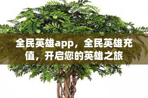 全民英雄app，全民英雄充值，开启您的英雄之旅