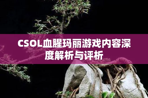 CSOL血腥玛丽游戏内容深度解析与评析图片