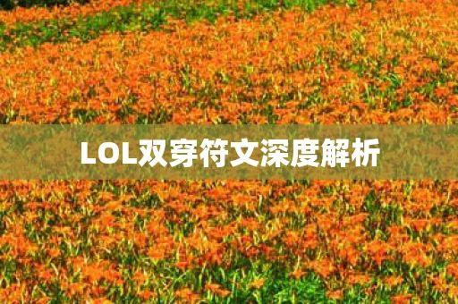 LOL双穿符文深度解析