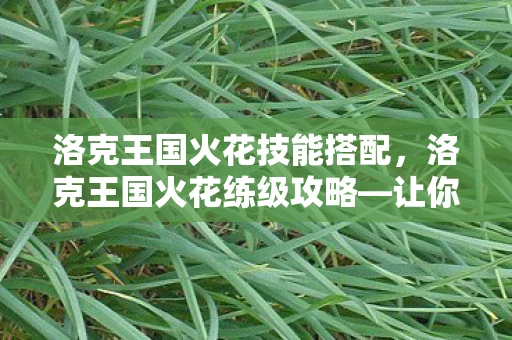 洛克王国火花技能搭配，洛克王国火花练级攻略—让你的小火花迅速成长！