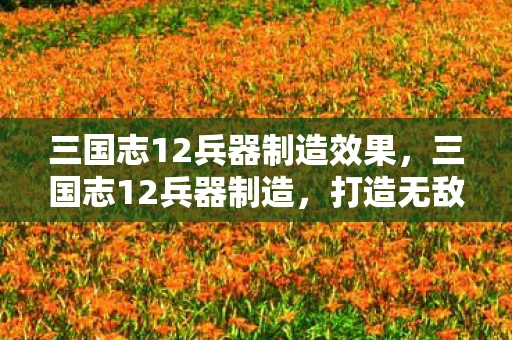 三国志12兵器制造效果，三国志12兵器制造，打造无敌军团的关键