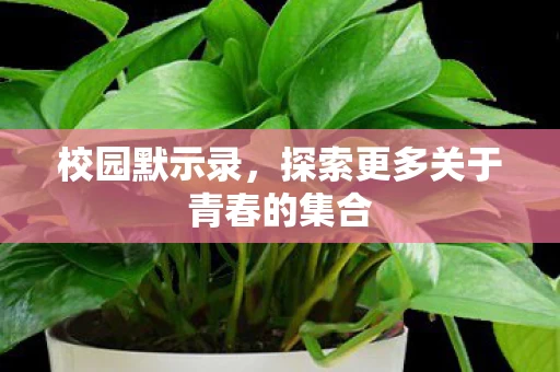 探索更多关于青春的集合图片