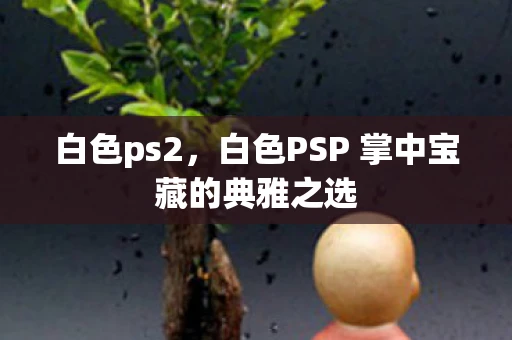 白色ps2，白色PSP 掌中宝藏的典雅之选