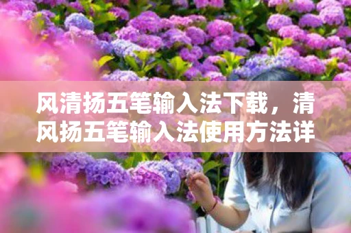 风清扬五笔输入法下载，清风扬五笔输入法使用方法详解