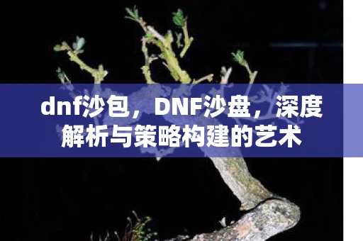 dnf沙包，DNF沙盘，深度解析与策略构建的艺术
