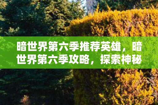 暗世界第六季推荐英雄,暗世界第六季攻略,探索神秘世界的终极指南 暗世界第六季推荐英雄,暗世界第六季攻略,探索神秘世界的终极指南