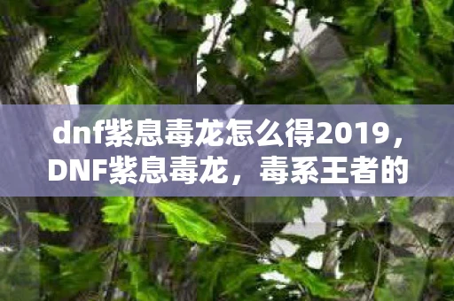 dnf紫息毒龙怎么得2019，DNF紫息毒龙，毒系王者的风采