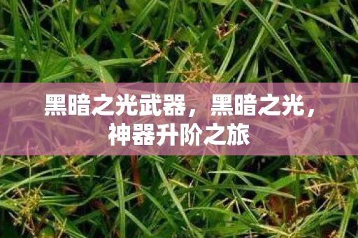 黑暗之光武器，黑暗之光，神器升阶之旅