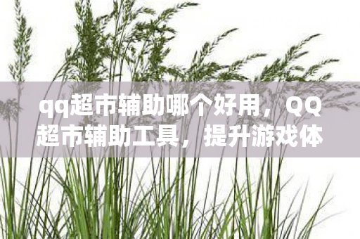 qq超市辅助哪个好用，QQ超市辅助工具，提升游戏体验的必备神器
